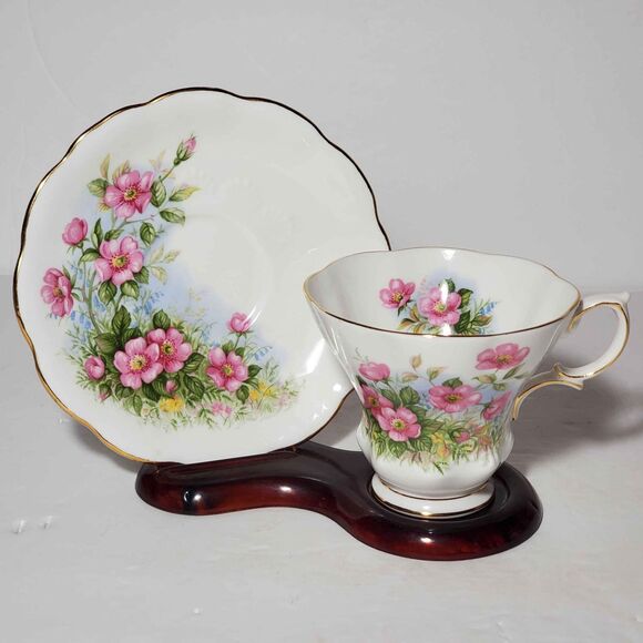Royal Albert Teacup and Saucer Petula Sunnyside Series - Picture 1 of 9